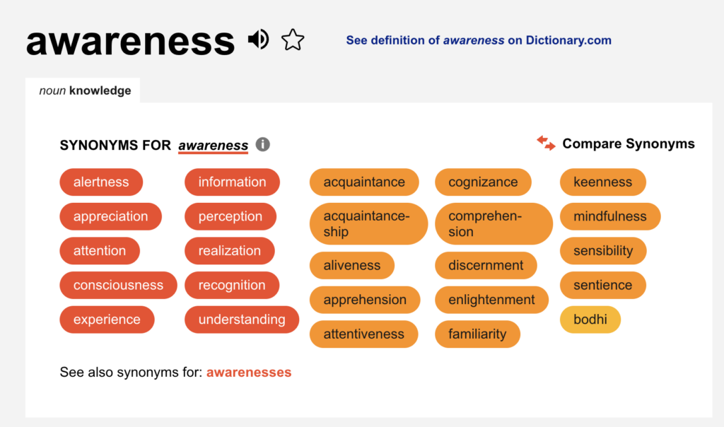 screenshot of online thesaurus tool